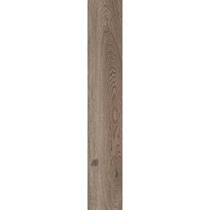 Керамогранит ABK Poetry Wood PF60010060 Oak Nat Rett 20x120