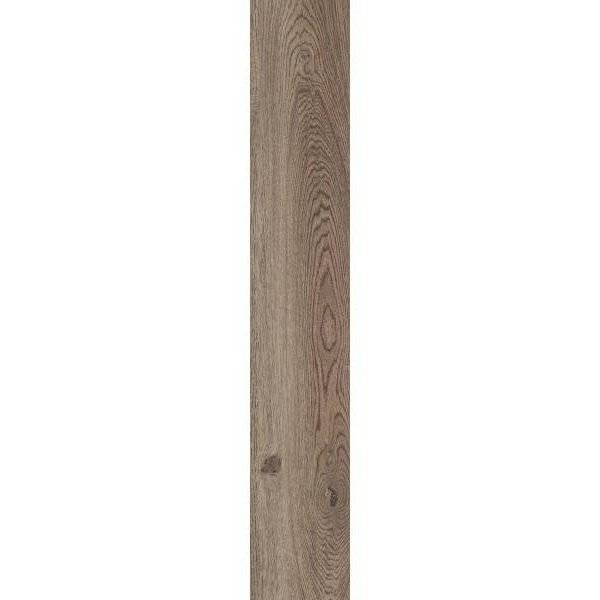 Керамогранит ABK Poetry Wood PF60010060 Oak Nat Rett 20x120
