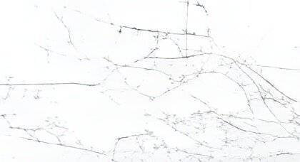Керамогранит Parnian 60x120 Harison Light 60х120