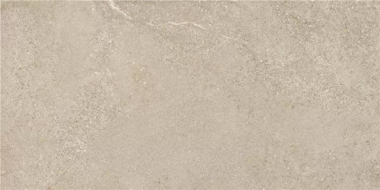 Керамогранит STN Ceramica Arenite CAN5AREIQDOA Natural Matt 60x120