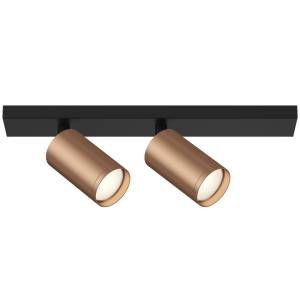 Потолочный светильник Technical Ceiling C051CL-02BC