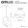 Подвесной светильник Citilux Rocka CL247082 фото 13