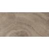 Керамическая плитка Laparet Prime 34028 Коричневый 25x50