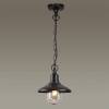 Уличный подвесной светильник Odeon Light Nature Campa 4965/1 фото 3
