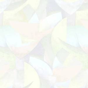 Обои Erismann Pablo 60276-05