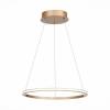 Подвесной светодиодный светильник ST Luce OUT ST604.243.22