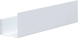 Полка Aquanet Магнум 302232 белая матовая, с крючками, 50x12
