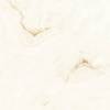 Керамогранит Absolut Gres Natural Beige AB 1005G gloss 600x600 фото 3