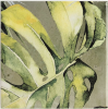 Керамическая плитка Ape Ceramica Sintra Areca Olive Green Mix 12.4x12.4