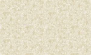 Обои бумажные Bruno Zoff Gold 60128-3