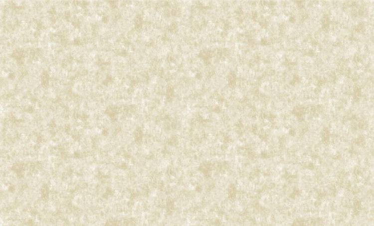 Обои бумажные Bruno Zoff Gold 60128-3