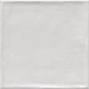 Керамическая плитка Vives Etnia Blanco 20x20