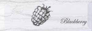 Декор Monopole Fruit Decor Laguna Blackberry 30x10
