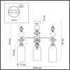 Потолочная люстра Odeon Light Bizet 4855/3C фото 6