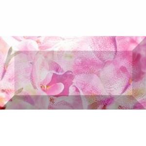 Бордюр Ceramica Classic Impression br1020D190-2 10x20