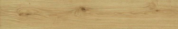Керамогранит Atlas Concorde Exence AO48 Almond 20x120