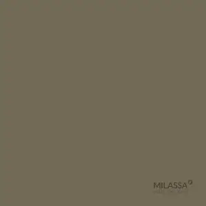 Обои флизелиновые Milassa Swan Sw9 005/1