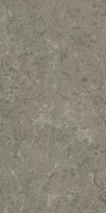 Керамогранит Atlas Concorde Marvel Meraviglia AJIU Grigio Elegante Matt 60x120