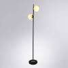 Торшер Arte Lamp Alcor A2224PN-2BK фото 3