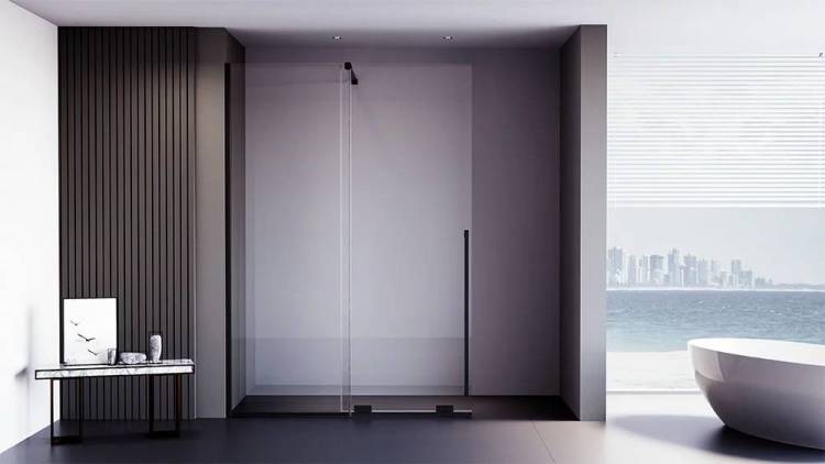 Душевая перегородка Veconi Premium Trento PTDW-50B-110-01-C4 профиль черный матовый, стекло прозрачное, 110x200