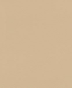 Обои флизелиновые Rasch African Queen Iii 752694