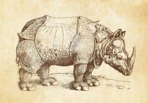 3D Фотообои Artegrafico «Носорог Дюрера» PD-008 песок