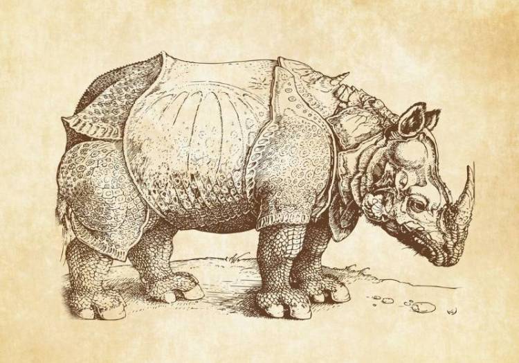 3D Фотообои Artegrafico «Носорог Дюрера» PD-008 песок