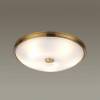 Потолочный светильник Odeon Light Walli Pelow 4956/5 фото 3