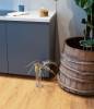 LVT Плитка VinilPol Glue 2/43 4V 7896-EIR Дуб Флоренция 1219.6x228.6 фото 2