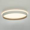 Потолочный светодиодный светильник Citilux Etalon CL750320R фото 6