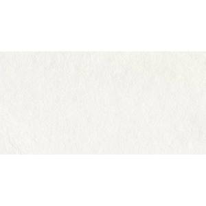 Керамогранит Ecoceramic Southrim Bone MT 60x120