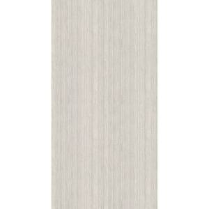 Керамогранит Fakhar Karpi 61w1216a Light Grey Simple Decore 59.6x119.6