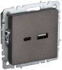 Розетка USB type A+C IEK Brite BR-U22-018-K45 темная бронза