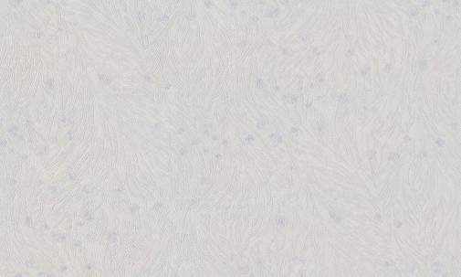 Обои Studio Italia Collection Tesoro TS10022