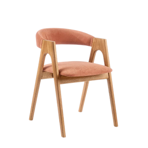 Стул обеденный Stool Group Рен pmc-ren-cognac-lv-09 Терракота