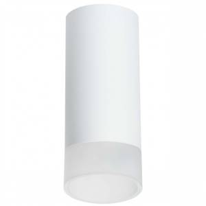 Потолочный светильник Lightstar Rullo R648681