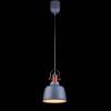 Подвесной светильник Lucia Tucci Industrial 1820.1 Sand Silver фото 2