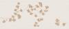 Декор Marca Corona Lilysuite I368 Biloba B 50x120 фото 3