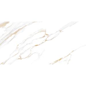 Керамическая плитка Alma Ceramica Dublin TWU09DBL004 24.9x50