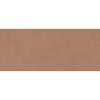 Керамическая плитка Atlas Concorde Boost Expression AYR9 Sienna Matte 50x120