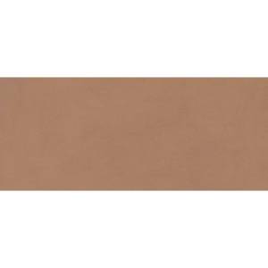Керамическая плитка Atlas Concorde Boost Expression AYR9 Sienna Matte 50x120