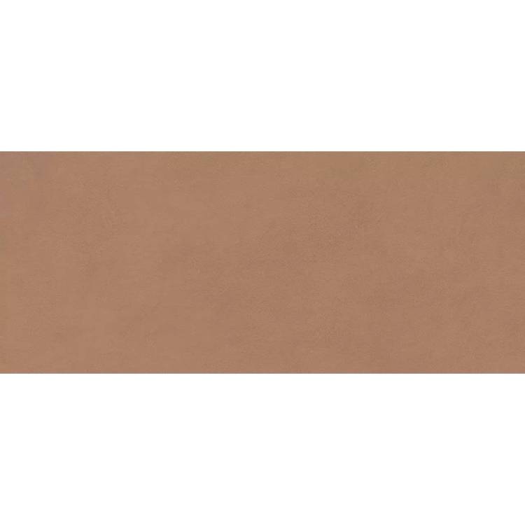 Керамическая плитка Atlas Concorde Boost Expression AYR9 Sienna Matte 50x120