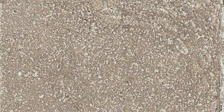 Керамогранит ISLA Pomposa 1006800 Mineral 20x40