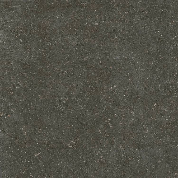 Керамогранит Casa Dolce Casa Rinascenza 785581 Arena Platino Matte 6mm 120x120