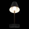 Настенный светильник Loft IT Shelf 10216/1W Black фото 2
