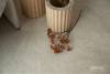 LVT Плитка Vinilam Ceramo Stone Glue 2.5/43 4V 71612 Тихая Бухта 950x475 фото 3