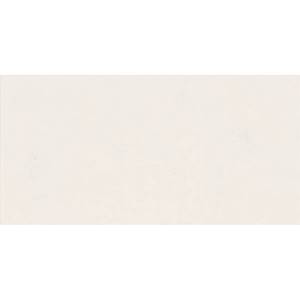 Керамическая плитка ABK Wide & Style Mini PF60008228 Snow Ret 60x120