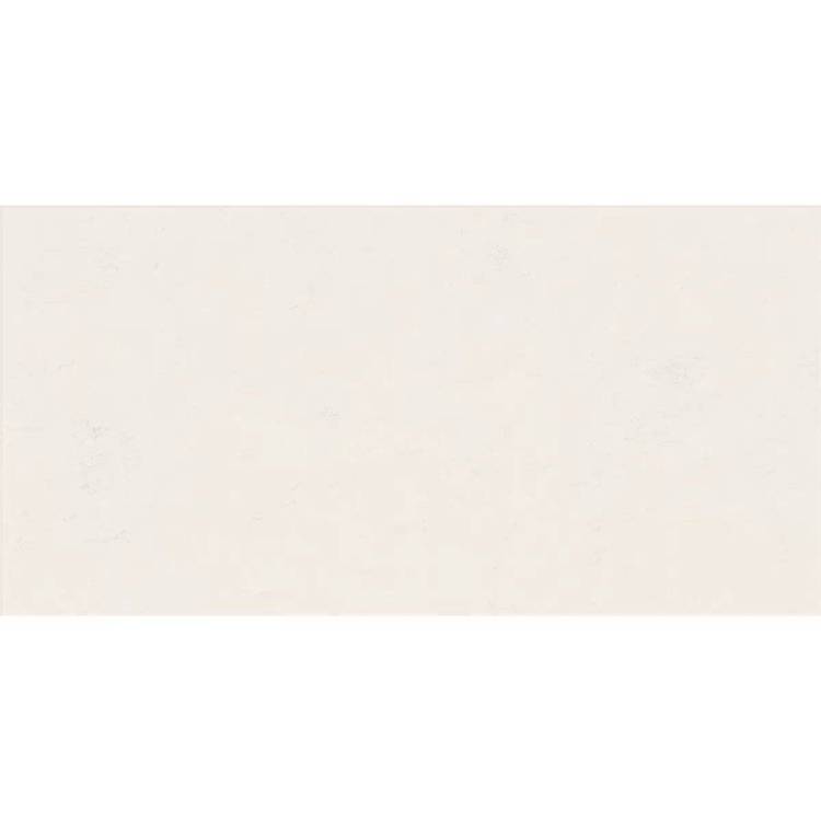 Керамическая плитка ABK Wide & Style Mini PF60008228 Snow Ret 60x120