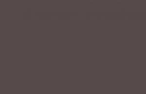 Обои флизелиновые Loymina Hygge IV Winter Moments Hg32 002/1