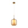 Подвесной светильник Maytoni Modern MOD001PL-01BS